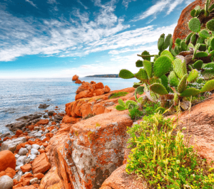 ocean view with red rocks and green cactus in Ogliastra, Sardinia