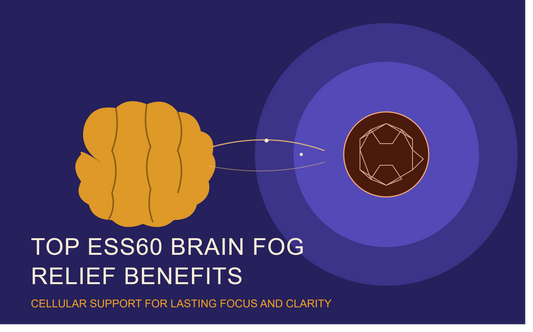 ESS60 for Brain Fog: How ESS60 May Restore Mental Clarity