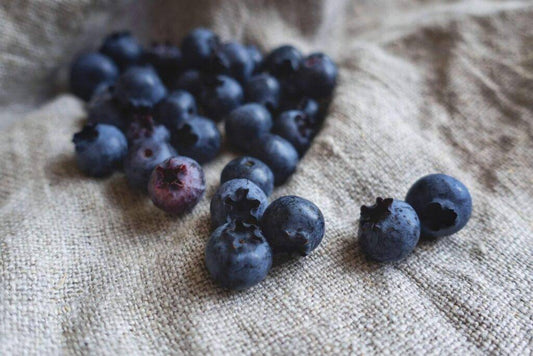 What Promotes Human Longevity?