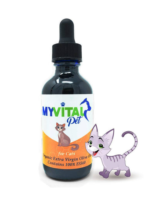 MyVitalPet for Cats ESS60 in Organic Extra Virgin Olive Oil with Salmon Flavor - 60ml