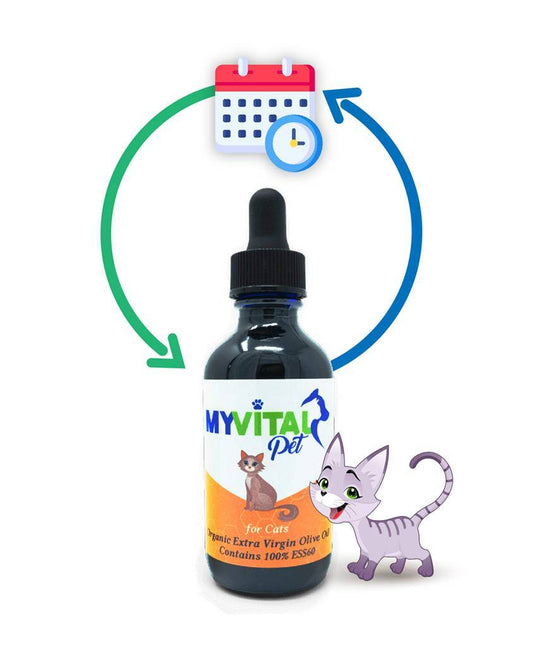 MyVitalPet for Cats ESS60 in Organic Extra Virgin Olive Oil with Salmon Flavor - 60ml - Monthly Subscription