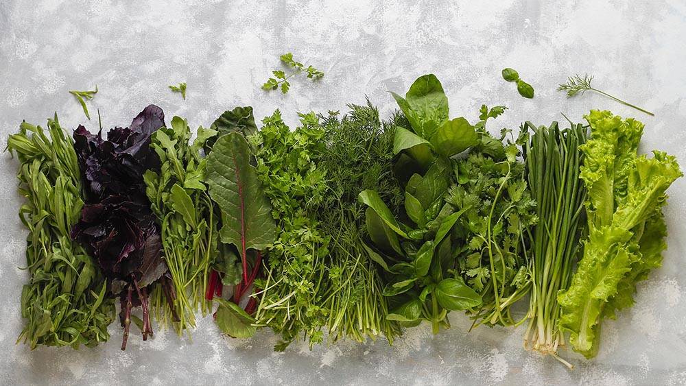 leafy greens on a table